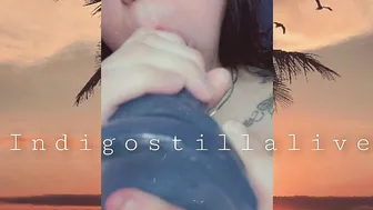 indigostillalive 28 july 2020