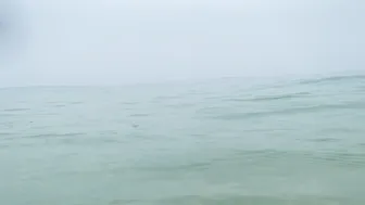 Kittywhite young slut fucks phallus cunt