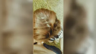 EmberLayne adult mare jerks both holes with fingers