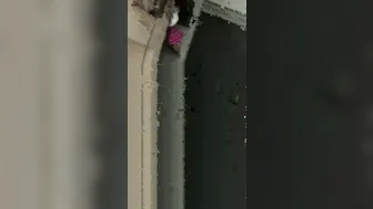 jasminheaney onlyfans 13 april 2020