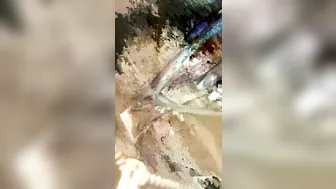 jasminheaney onlyfans shy kittens jerking shaved cunt