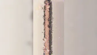 jasminheaney onlyfans erotic gymnast effectively changes poses