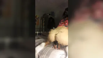 jasminheaney onlyfans Graceful bbw