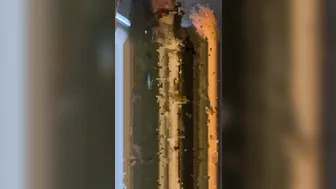 jasminheaney onlyfans  private  with toys don't get bored