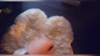 Belle Delphine onlyfans Mischievous curva