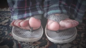 Silverthorne cute brown-haired woman performs double fuck