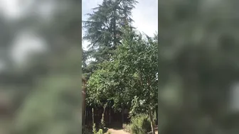 Riley Nixon onlyfans 07 September 2020