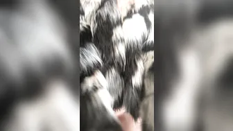 Alix Lynx onlyfans cute brunette caresses her charms