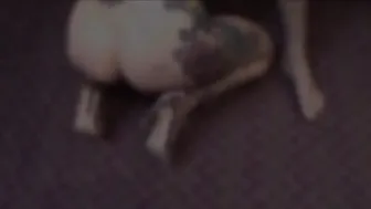 ava_austen 3 January 2020