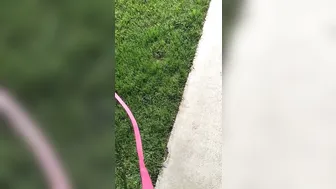 Reena little dark girl