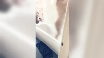 Gemma cute chick fucked by sex toy