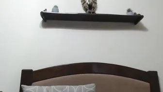 kity_sweet Cute chick cool teasing the vagina