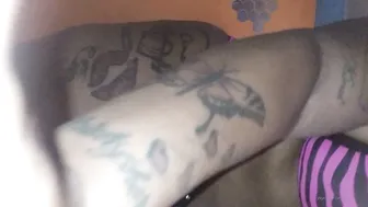 winterlashelldior multiple videos