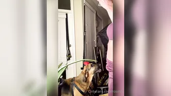 rosetta 29 October 2020