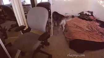 rhaenys Graduation baby