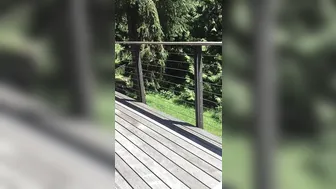 Indigo White  25 May  2020