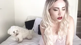 Indigo White  Chick in