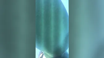 emjayplays onlyfans  lustful lady sucks dick