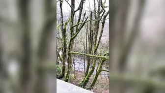 Mia Malkova onlyfans  smart slut