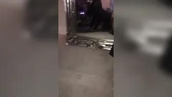 Ava Koxxx  crazy beast fucks pussy