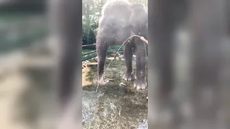 cjmiles onlyfans 28 January 2021