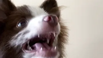 elianarose onlyfans mysterious goddess gently caresses her ass with her fingers