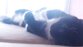 hey_arnold adorable little doll and her little holes