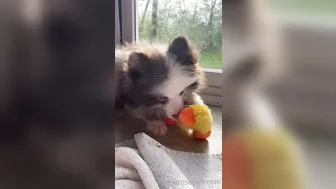 elianarose onlyfans naughty slut fucks herself with a phallus