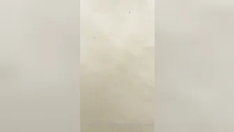 dannymancinixxx lush woman