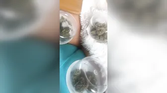 missmeforever onlyfans appetizing slut work with  pussy