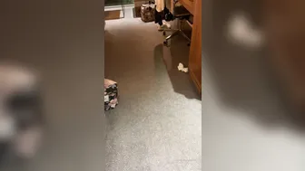 Josipa Karimovic (karimovicjosipa) OnlyFans intense pranks of a pretty girl