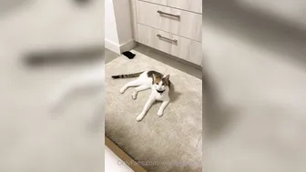 ellahollywood busty  girl  fingering her pussy with a vibrator