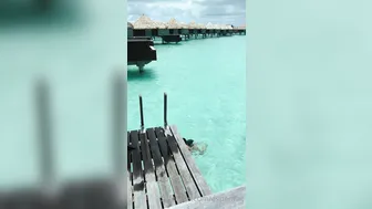 AspenRae solo cumshots