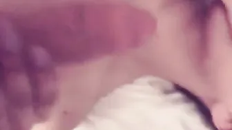 tsjessy sweet girl playing with dildos