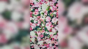 xmandyfoxxx  beautiful  cam girl  plays with sex toy