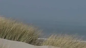 veronagymnast   Busty courtesan