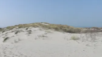 veronagymnast   Sultry chick