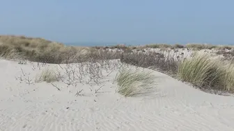 veronagymnast   Doll in