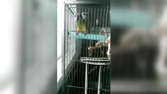 charlotte 04 December 2020