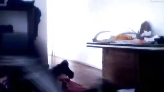 dreianova dark haired bitch gently pulls pussy