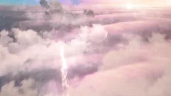 paypeaches 20 October 2020