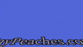 paypeaches young lady in stockings fucks pussy