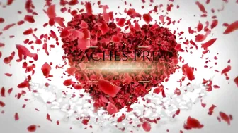 paypeaches 26 March 2020