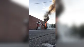 Jane marie onlyfans cute brown