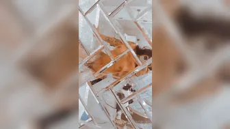 Jane marie onlyfans mature and skillful