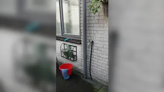 veronagymnast_ cute brunette fucked cunt with phallus