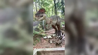 Maya_Di onlyfans 2 January 2020