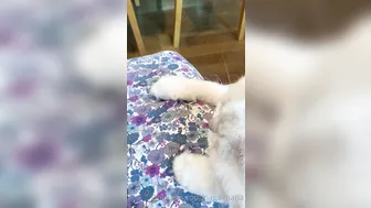 Maria Nagai onlyfans sponge courtesan in the office spoils himself with pleasures