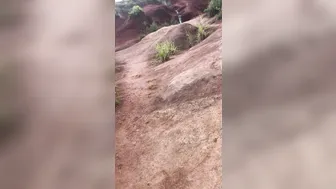 Haley Reed onlyfans busty bitch jumps on phallus