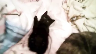 Gina Gerson onlyfans 30 May  2020